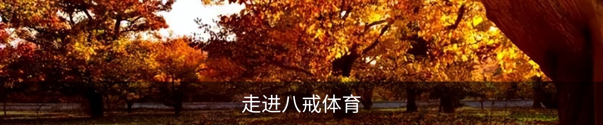 走进八戒体育